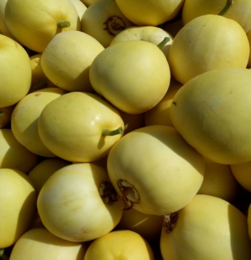 [甜瓜批发]星甜20价格1.50元/斤 - 一亩田