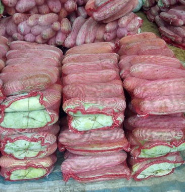 小白毛棒冬瓜,水果冬瓜,小圆冬瓜.各种冬瓜