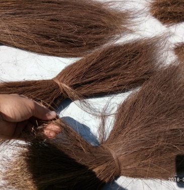 特级长丝山棕丝棕垫材料