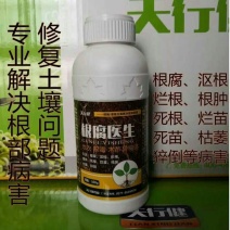 根腐医生专业解决根部病害，修复土壤问题