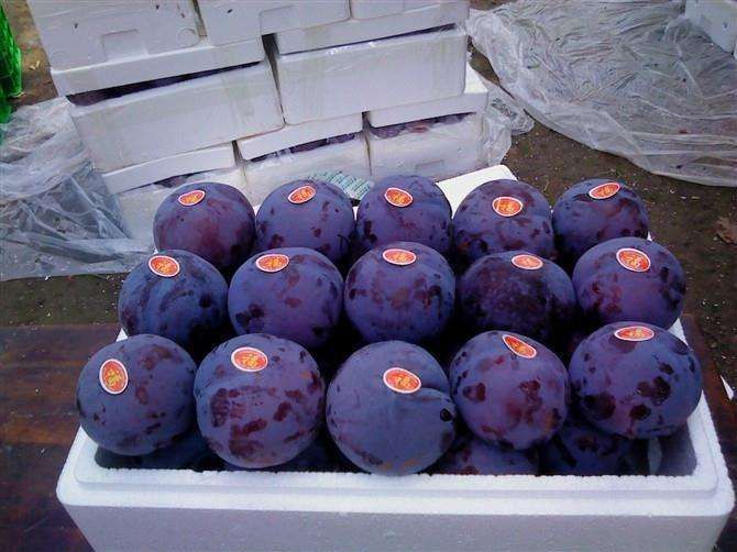 超市货架上摆放整齐的黑宝石李子礼盒