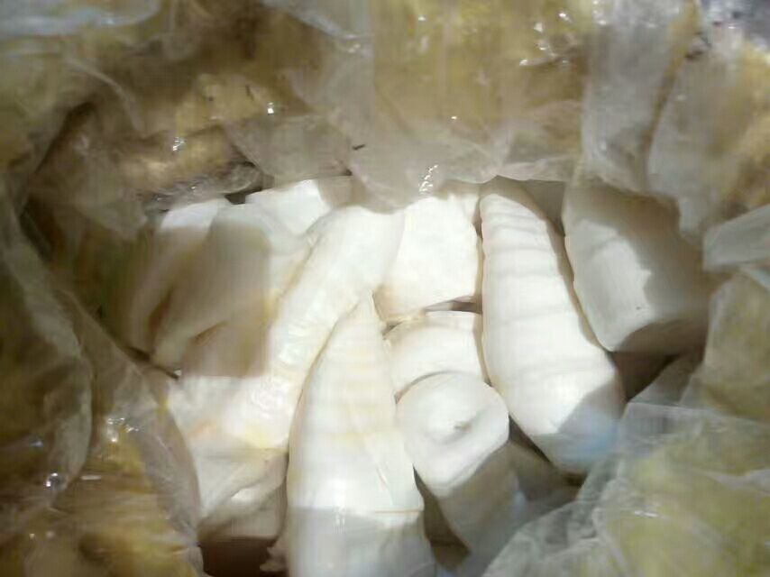 遂溪县麻竹笋地理标志产品授权企业包装车间：工作人员正在贴标“遂溪麻竹笋”国家地理标志专用标志，纸箱印有SC编号、溯源二维码及“新鲜麻竹笋”中英文标识