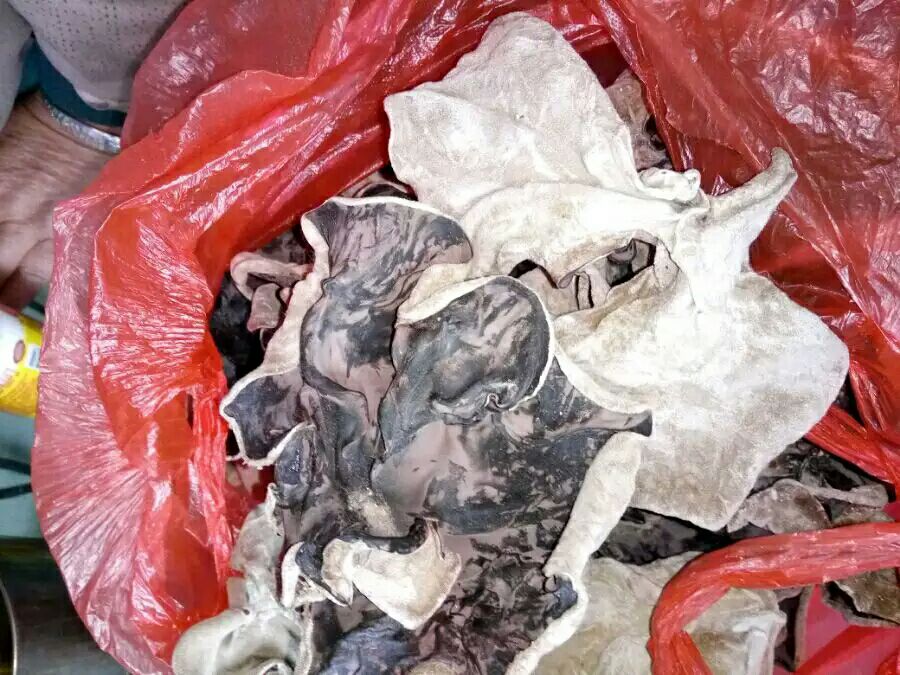 实验室检测场景：科研人员使用HPLC仪器分析毛木耳多糖含量