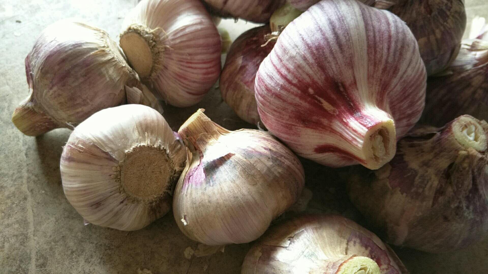 厨房中使用蒜头红烹饪场景