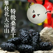 桑葚干食用四川干货口感好无泥沙2斤包邮量大从优
