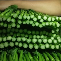 宁夏供港大中小菜心
