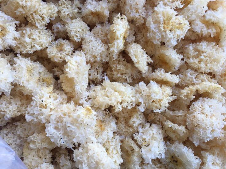 银耳的外观展示