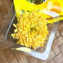 菊花茶