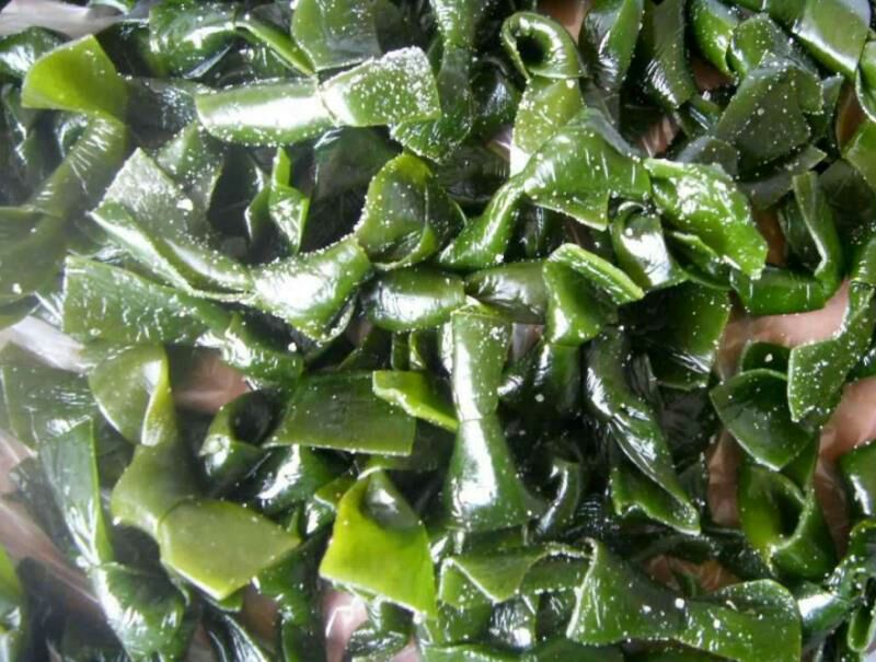 展示新鲜湿海带的外观与质地,绿色鲜亮,水分充足 新鲜湿海带展示图