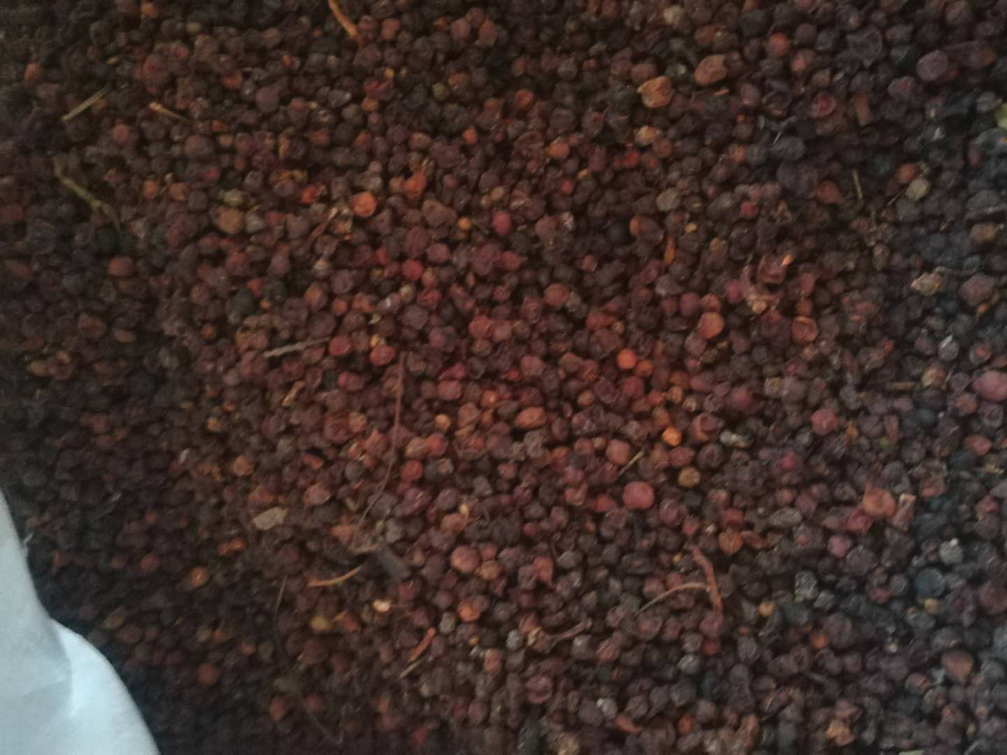 五味子与醋南五味子在中医配方中的应用场景