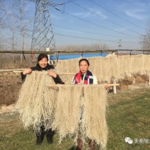 纯手工粉丝