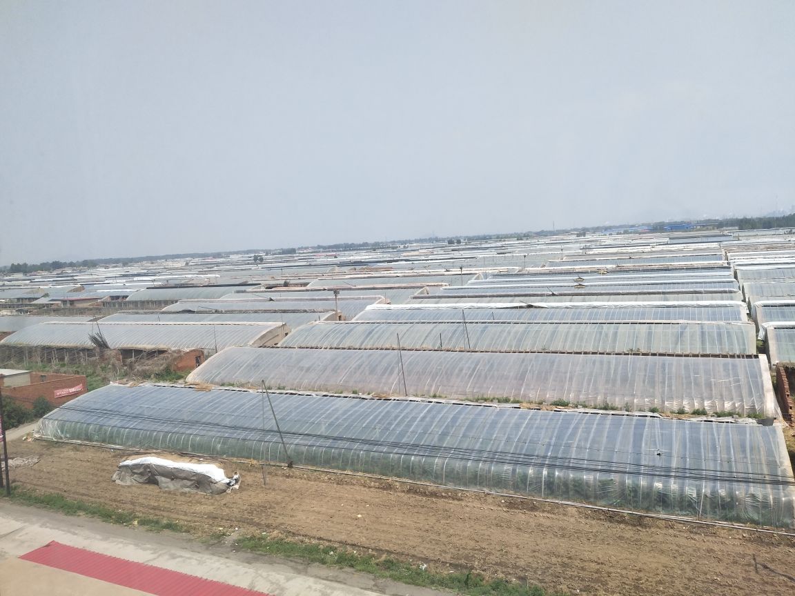 无人机航拍视角下的旱黄瓜种植示范区,地块呈条带状分布,土壤呈褐色偏黄,植株排列整齐但密度较低,地面覆盖秸秆 mulch,远处可见节水灌溉设备与气象监测站,体现干旱区可持续农业管理模式 旱黄瓜种植示范区航拍图