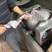 茶农直销铁观音2021新茶特级农家茶