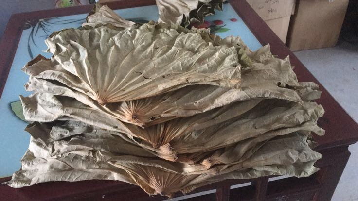 古代中医药书中的莲子记载