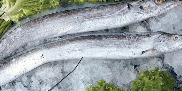 带鱼与青菜同食的营养搭配 带鱼与青菜同食的营养搭配