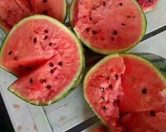 西瓜果肉切面图