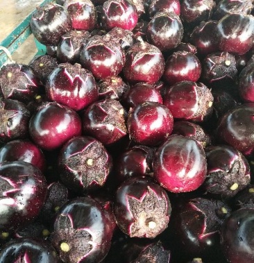 [茄子批发]大红袍茄子价格0.50元/斤 - 一亩田