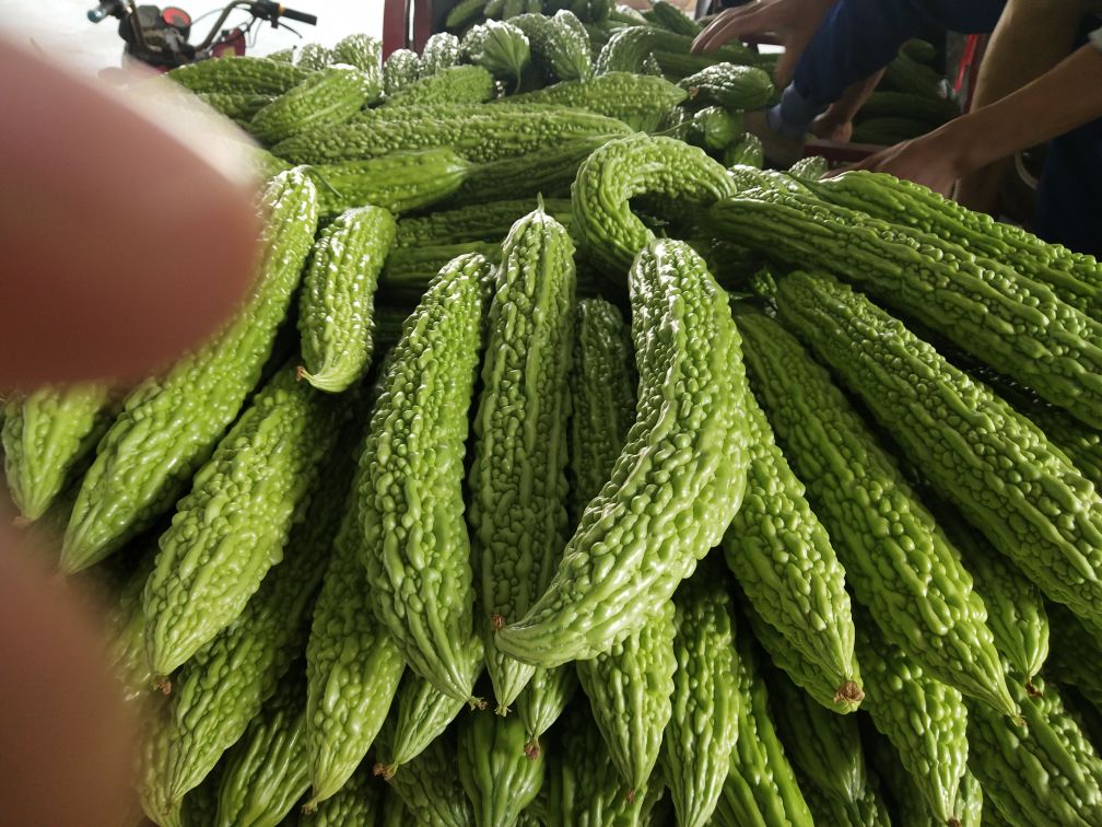 厨房制作苦瓜炒鸡蛋过程