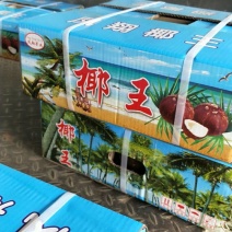 纯天然泰国椰子