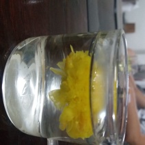 怀菊花