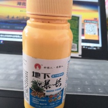 调节剂地下作物膨大剂地下爆长
