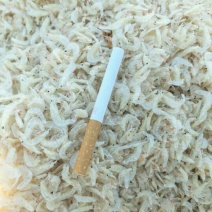 虾皮