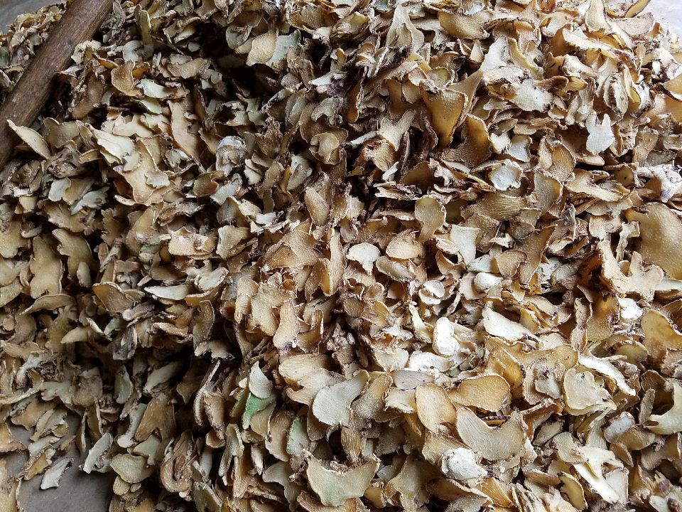 白芷药材成品图