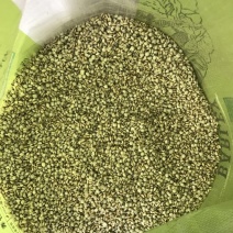 白薏米包装