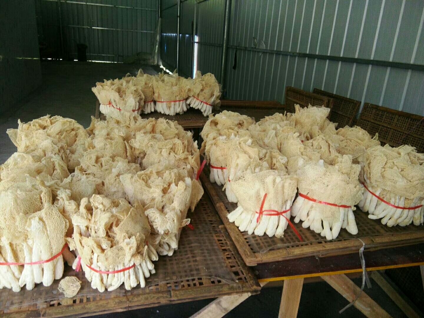 竹荪去裙处理步骤