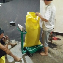 油菜籽