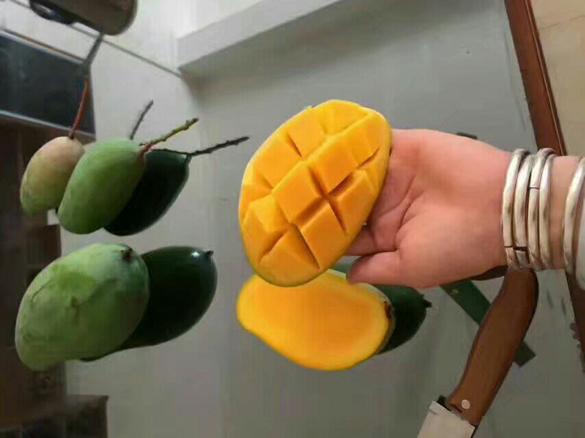 芒果果肉切片特写图