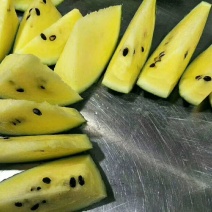 黄壤吊瓜