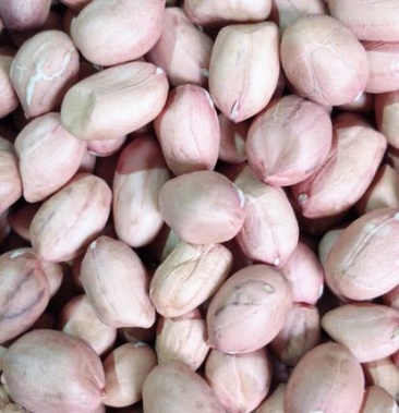 小白沙花生米 中白沙精选手剥花生米 一级