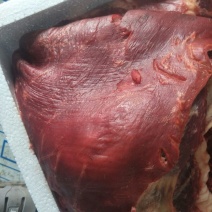 活宰现杀驴肉