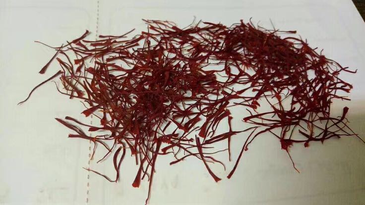 红参与藏红花实物对比图