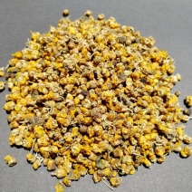 野菊花纯野生黄菊花茶小颗粒苦包含量原产地一手货源