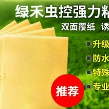 粘虫板，诱虫板茶园粘虫板果园杀虫板