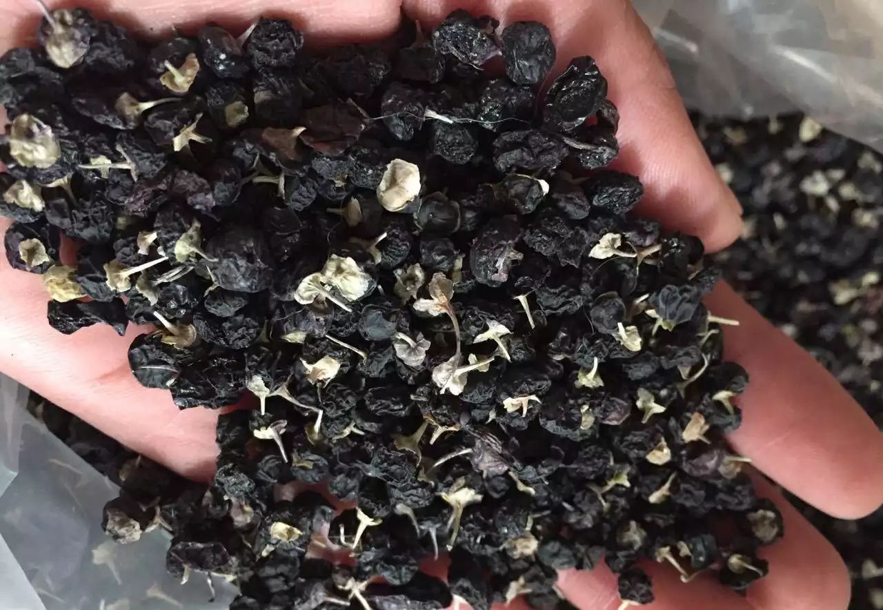 高倍显微镜下的萝卜硫素分子结构与十字花科植物细胞示意图