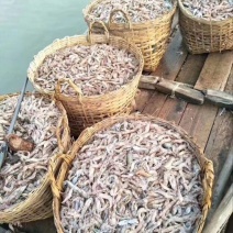 红虾干