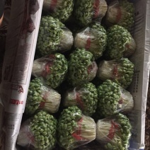 豆瓣菜绿色食品