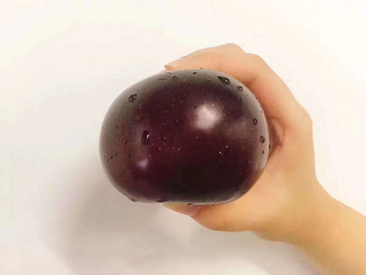 黑布林李子腐烂特写