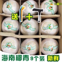 椰青海南特级椰青，一箱也包邮！