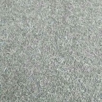 孜然