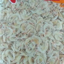 精品虾皮