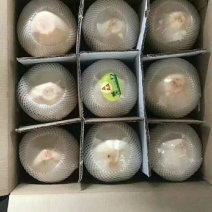 海南椰青