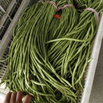 优质青肉豇豆口感特别好新鲜采摘