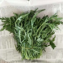 芝麻菜航空新鲜直达，精品，也可物流