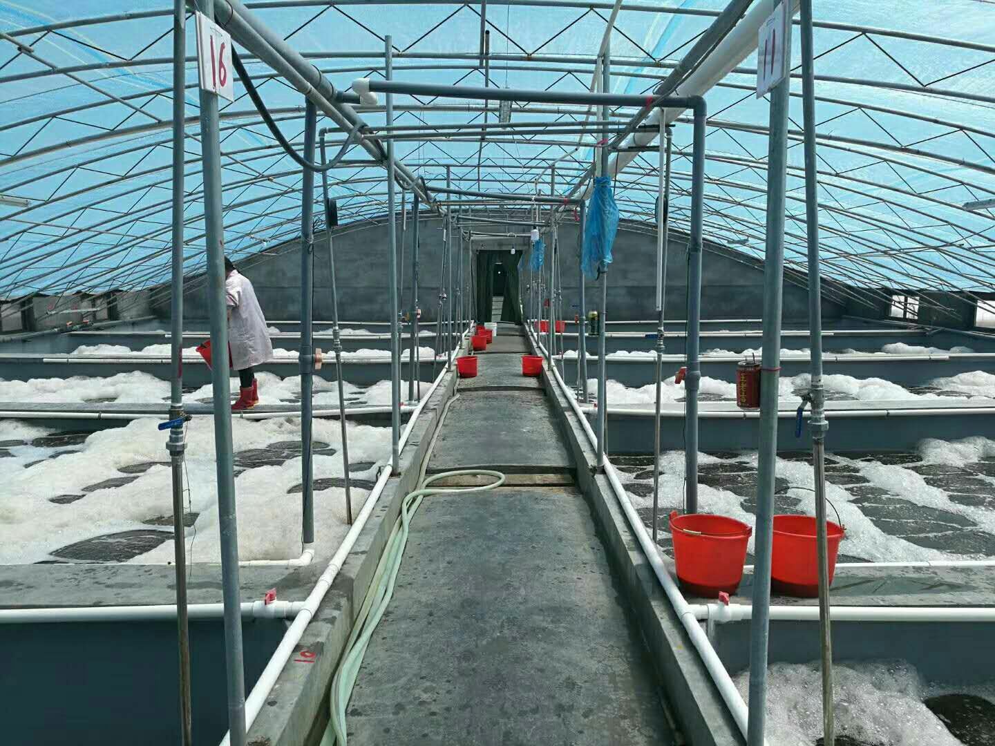 对虾养殖池塘底部排污系统示意图