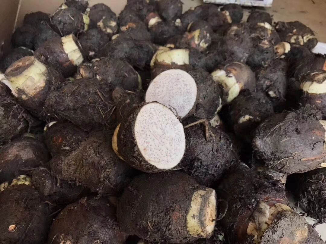 荔浦芋头营养成分图