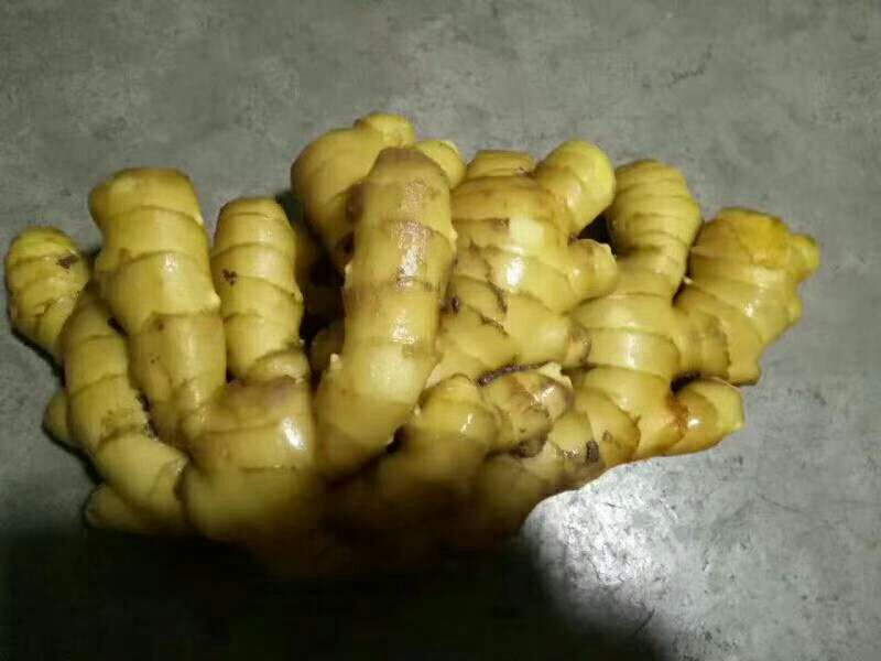 老姜特写